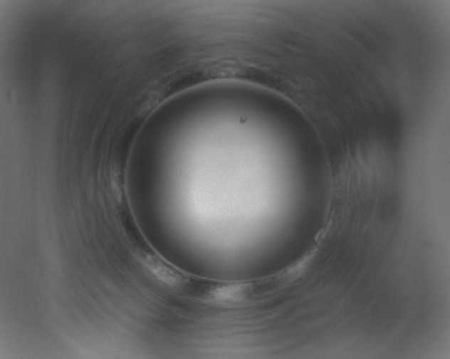 X0000053160178200507111517