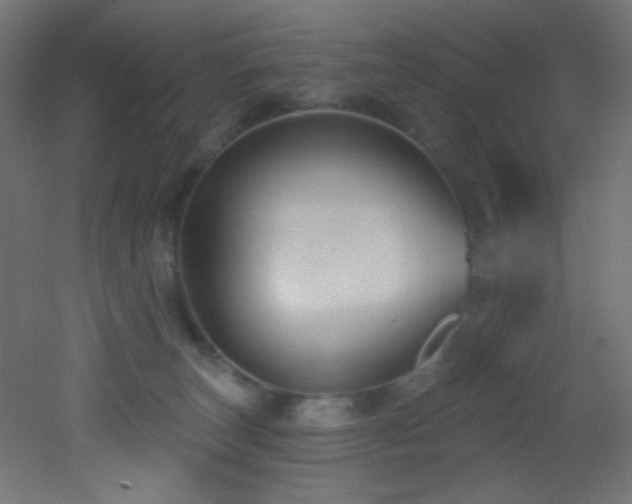 X0000053160179200507111517