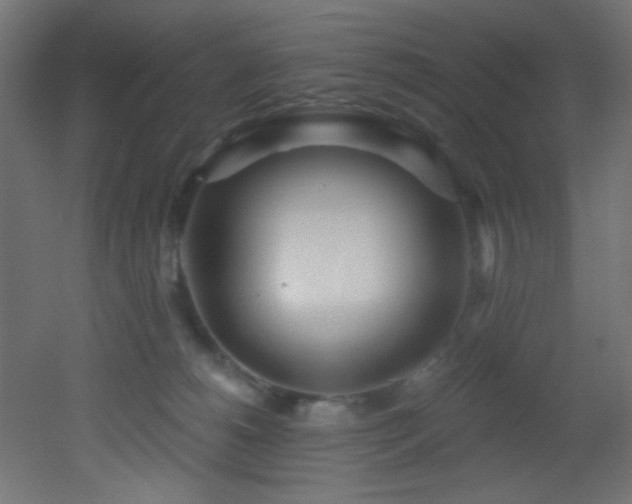 X0000053160180200507111517