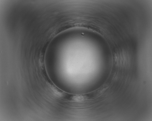 X0000053160181200507111517