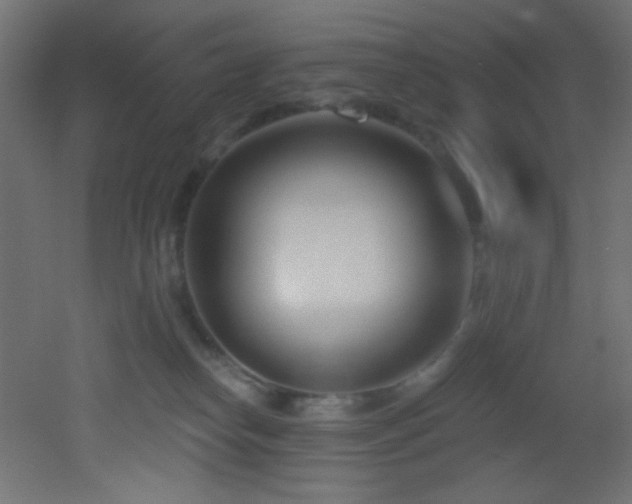 X0000053160182200507111517