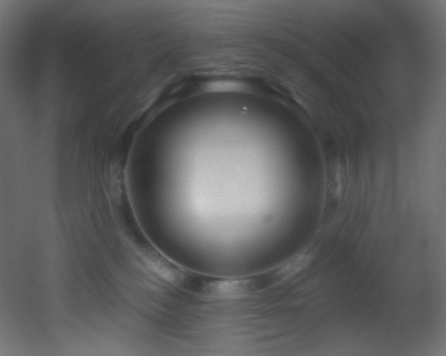X0000053160184200507111517