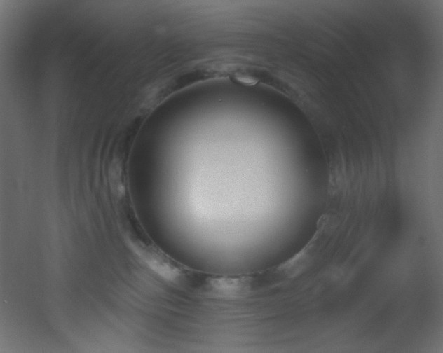 X0000053160187200507111517