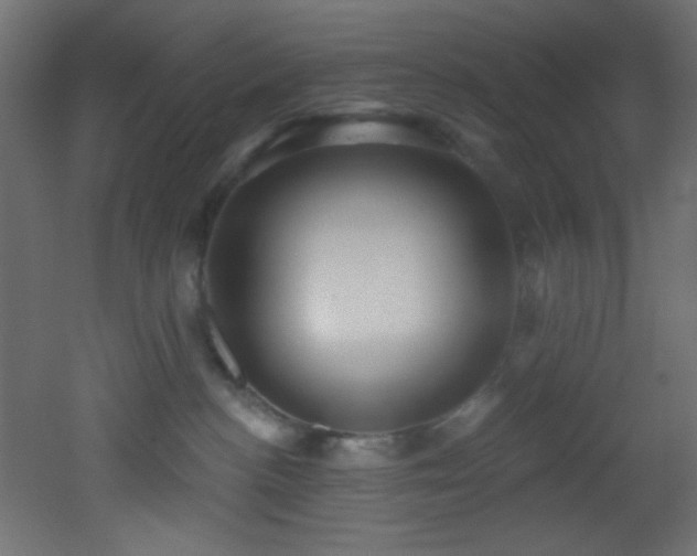 X0000053160188200507111517