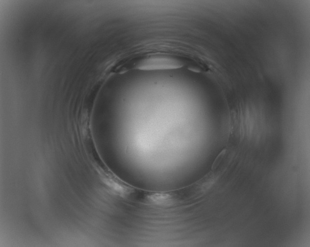 X0000053160189200507111517