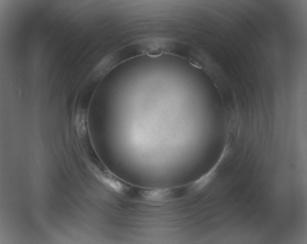 X0000053160191200507111517