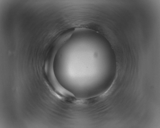 X0000053160192200507111517