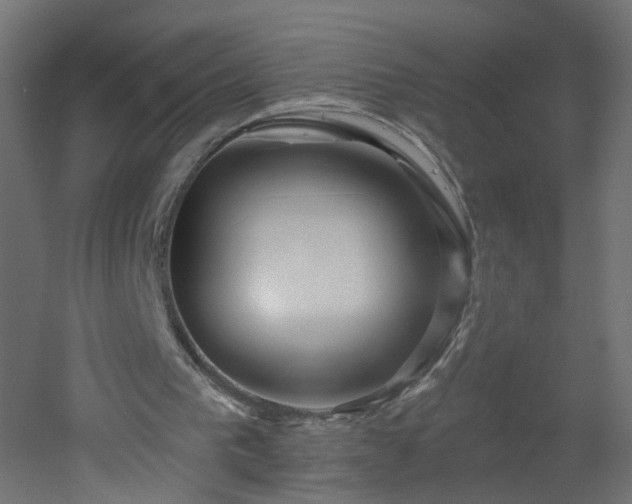 X0000053160193200507111516