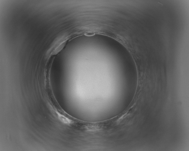 X0000053160194200507111516
