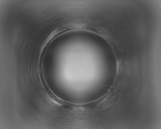 X0000053160195200507111516