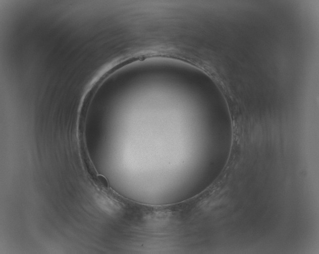 X0000053160196200507111516