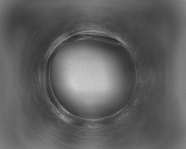 X0000053160199200507111516