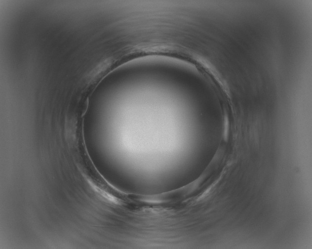 X0000053160201200507111516
