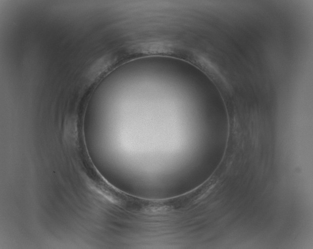 X0000053160202200507111516