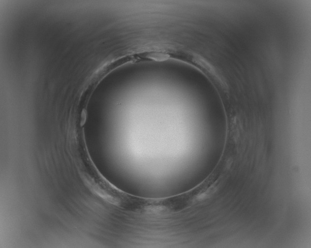 X0000053160203200507111516