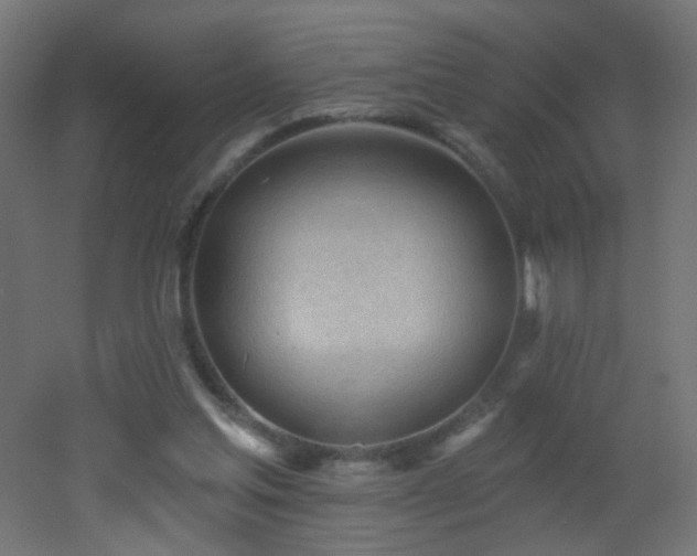 X0000053160205200507111516