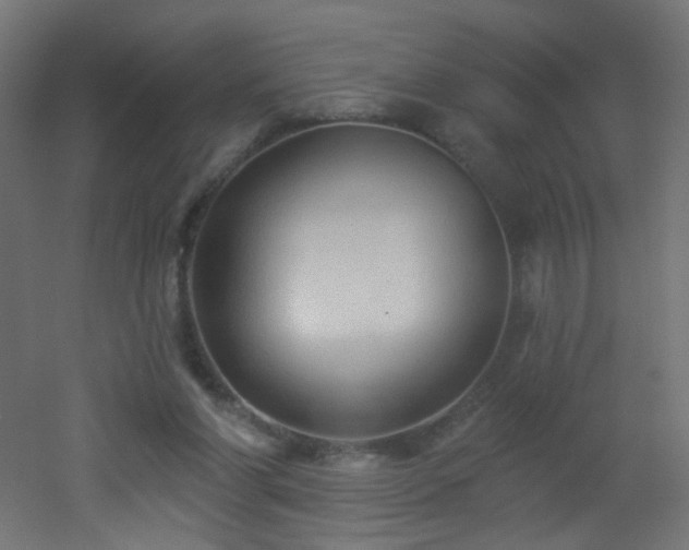 X0000053160206200507111516