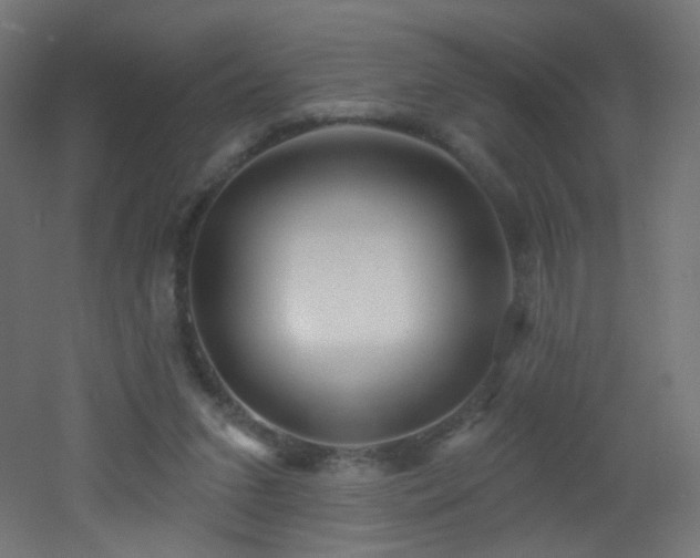 X0000053160207200507111516