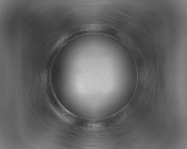 X0000053160208200507111516