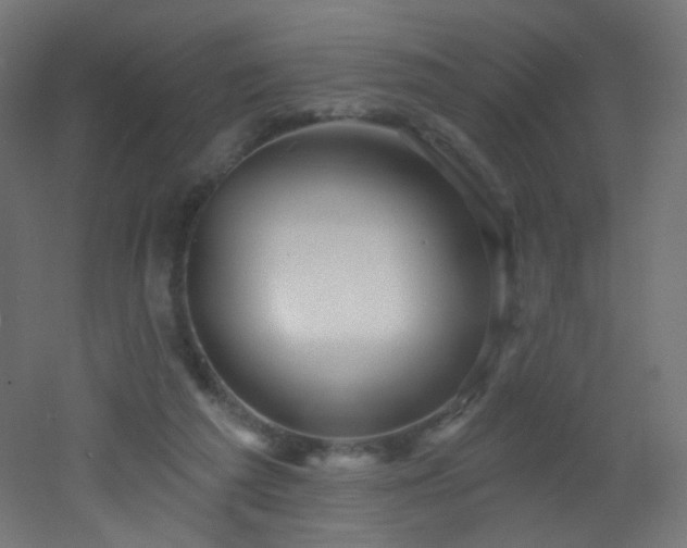 X0000053160209200507111516