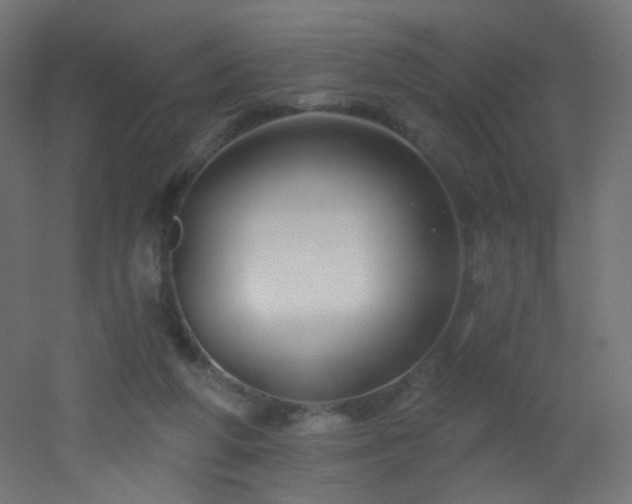 X0000053160210200507111516