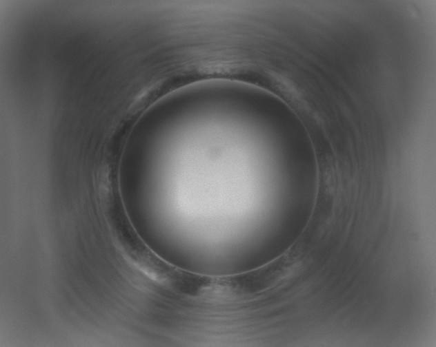 X0000053160211200507111516
