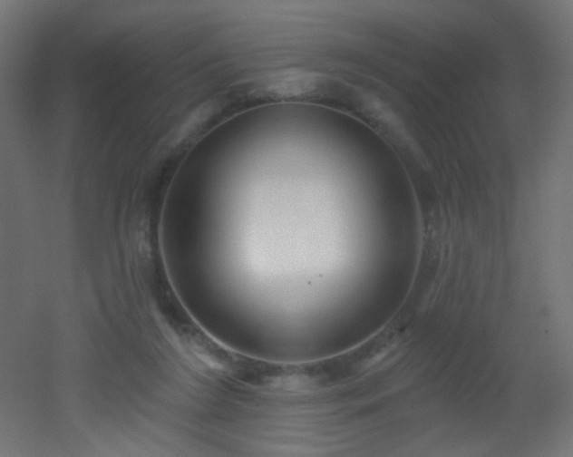 X0000053160212200507111516