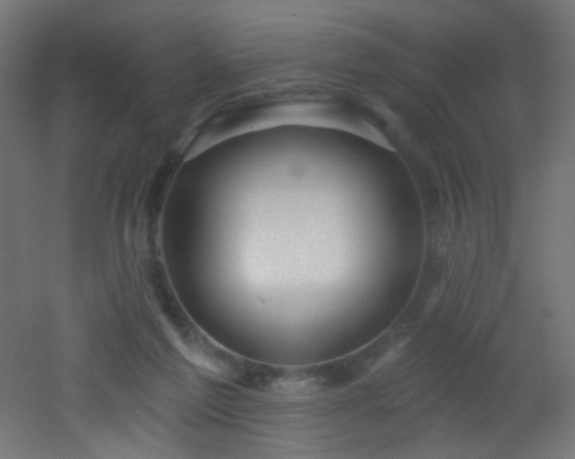X0000053160213200507111516