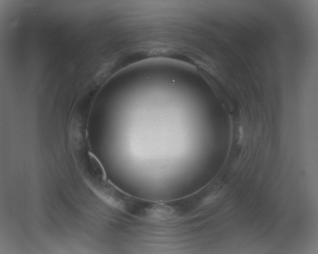 X0000053160215200507111516