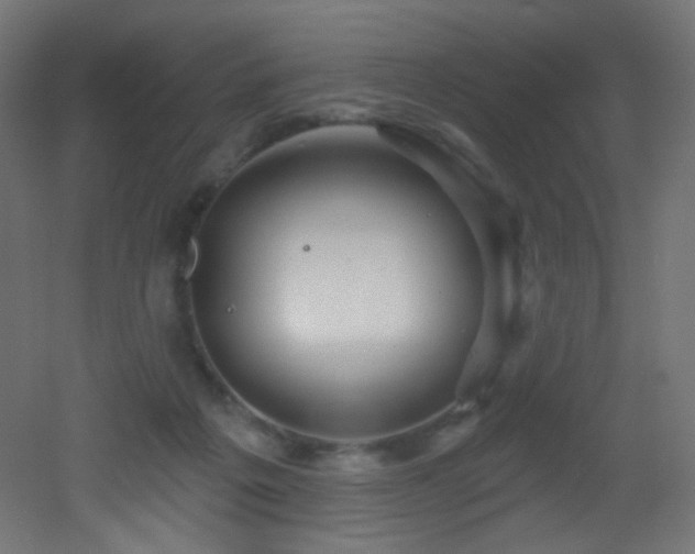 X0000053160217200507111516