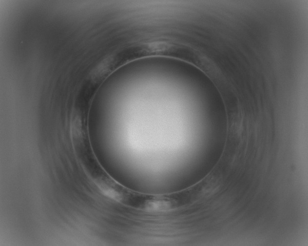 X0000053160220200507111516