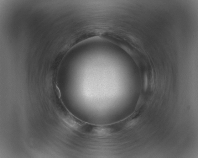 X0000053160221200507111516