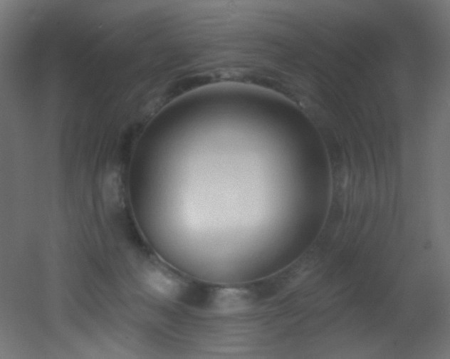 X0000053160222200507111516
