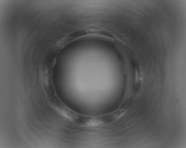 X0000053160223200507111516