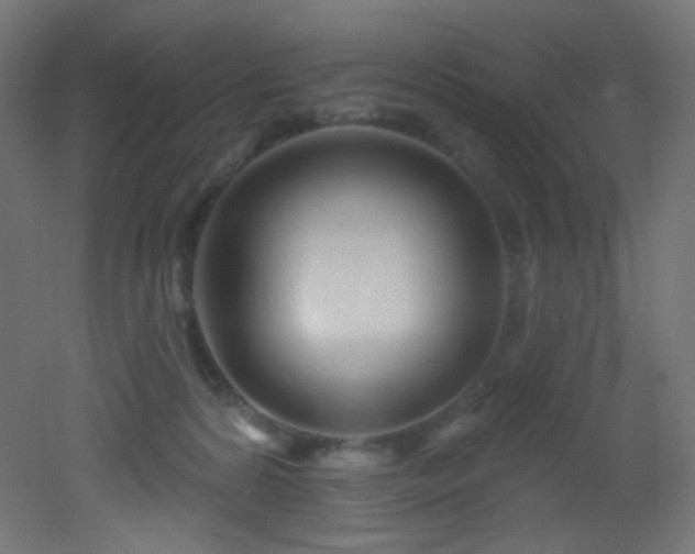 X0000053160224200507111516