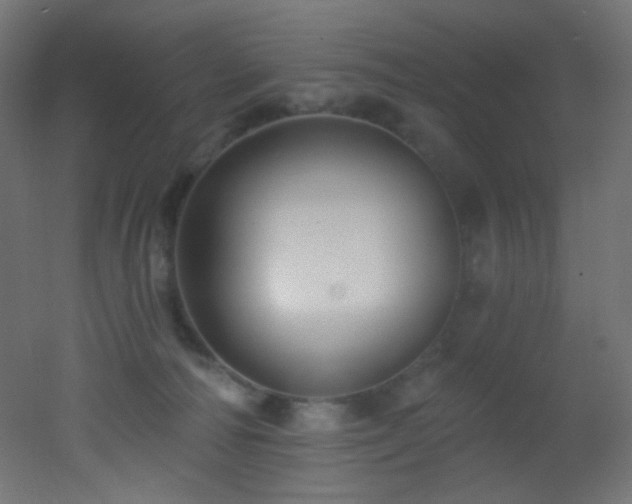 X0000053160226200507111516