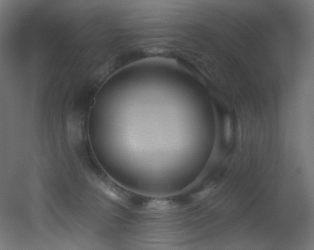 X0000053160227200507111516