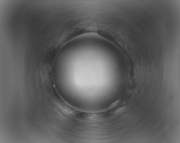 X0000053160229200507111516