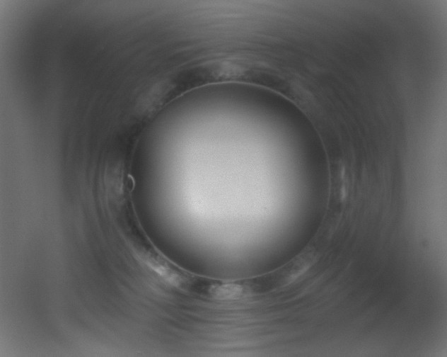 X0000053160230200507111516