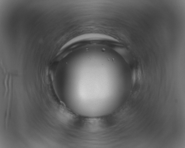 X0000053160233200507111515