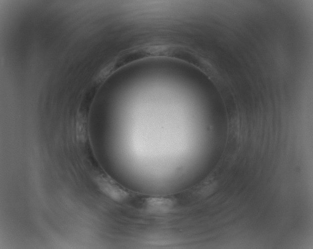 X0000053160234200507111515