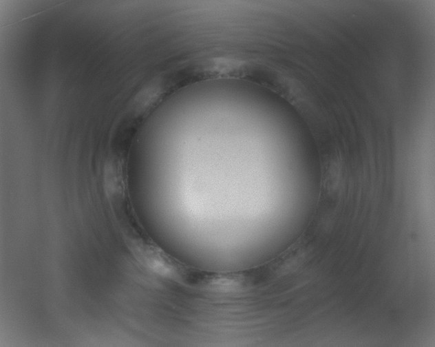 X0000053160236200507111515