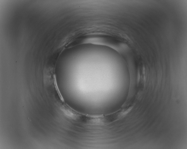 X0000053160237200507111515