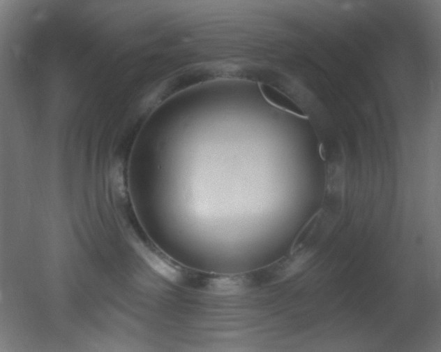 X0000053160238200507111515