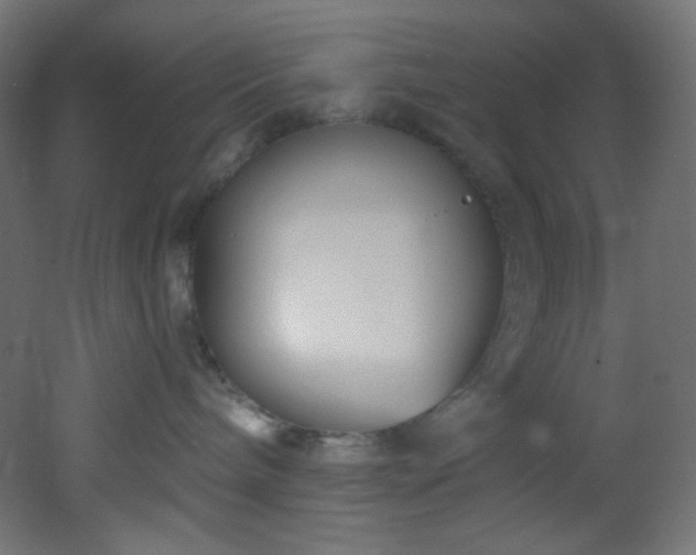 X0000053160240200507111515