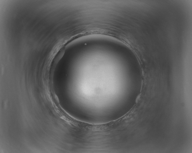 X0000053160241200507111515