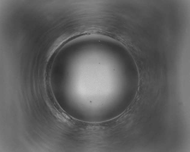 X0000053160242200507111515