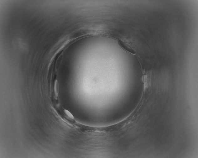 X0000053160243200507111515