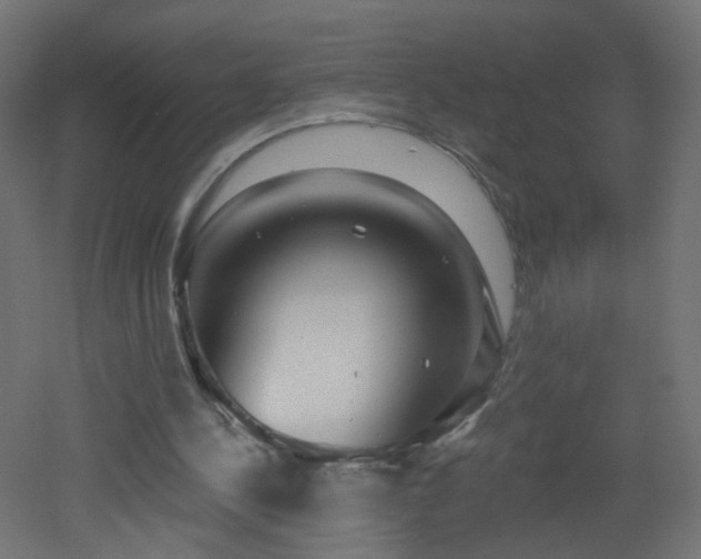 X0000053160244200507111515