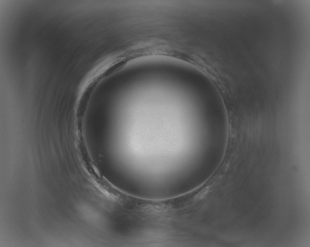 X0000053160245200507111515